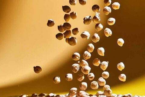 Gezondheidsraad: eiwittransitie goed voor mens en milieu